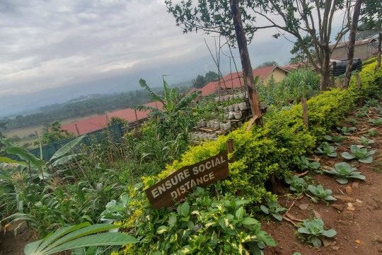 urban farming